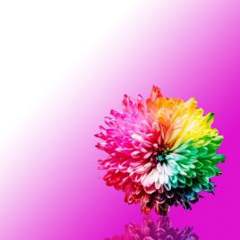 Color Therapy