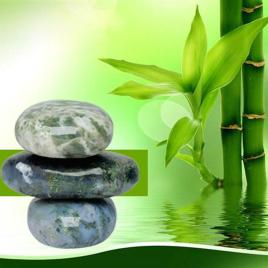 Crystal Palm Stone
