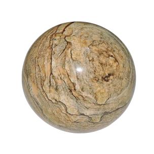 Avika Petrified Wood Jasper Gemstone Sphere/Balls
