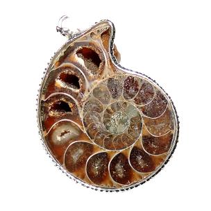Avika Natural Ammonite Pendant for Activating Kundalini and Life Path Energies