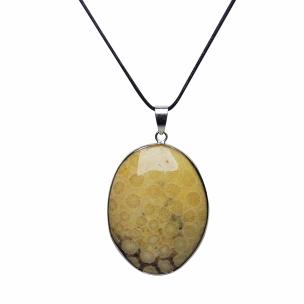 Avika Natural Petrified Wood Pendant
