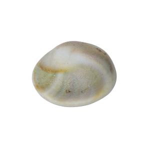 Avika Natural Gomti Chakra Big For Luck