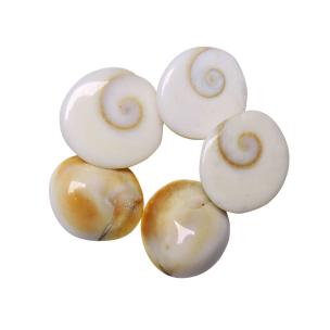 Avika Natural Gomti Chakra Cabochon (Pack of 5 Pcs.)