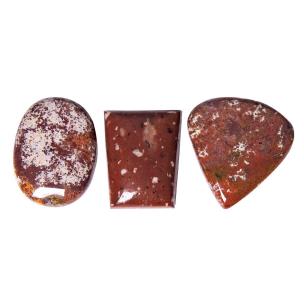 Avika Natural Spot Jasper Cabochon