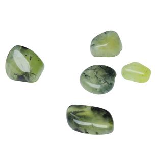 Avika Natural Energized Prehnite Tumble Stone