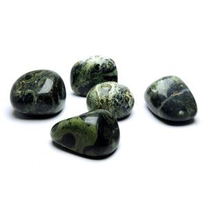 Avika Natural Kambaba Jasper Tumble with Healing Properties