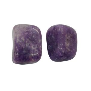 Avika Natural Energized Lepidolite Tumble