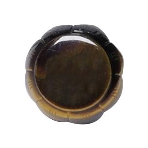 Avika Energized Tiger Eye Lakshmi Paduka