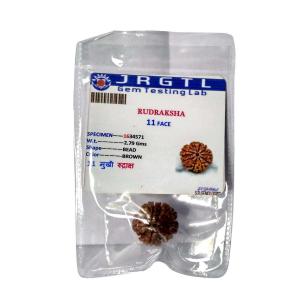 Avika Natural Certified Energized Rudraksha 11 Mukhi