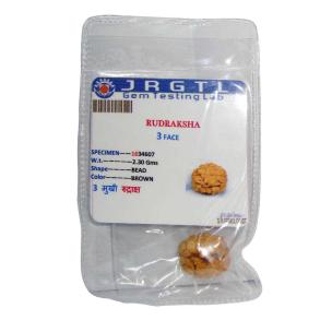 Avika Natural Certified Energized Rudraksha 3 Mukhi