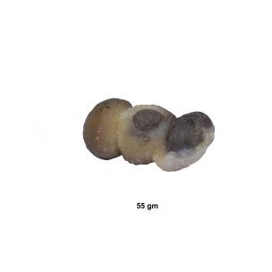 Avika Natural Energized Brown Chalcedony Rough Specimen