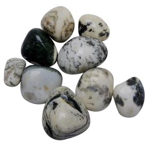 Avika Natural Energized Rare Tree Agate Stone Tumble