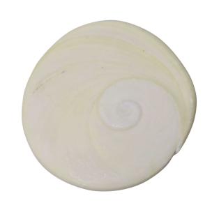 Avika Natural Gomti Chakra (Medium)1 pc.