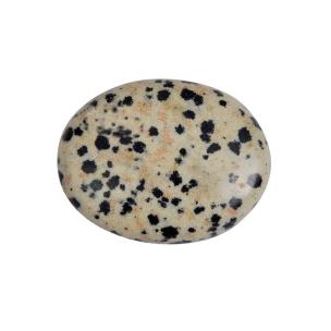 Avika Natural Leopard Jasper Cabochon