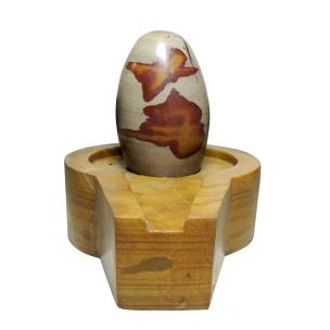 Avika Natural Narmedeshwar Jaldhari Lingam 6 Inch