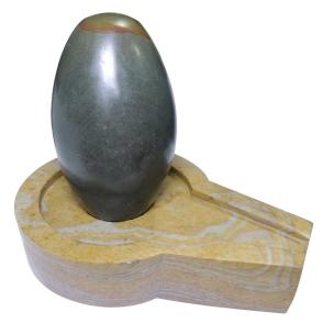 Avika Natural Narmedeshwar Jaldhari Lingam 8 Inch