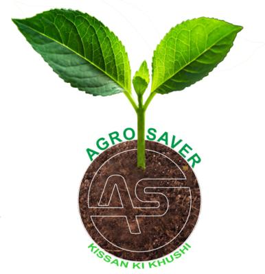 Let’s Grow Money on Trees