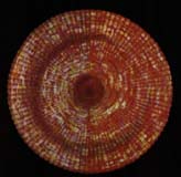 Brow/Third Eye Chakra Crystals