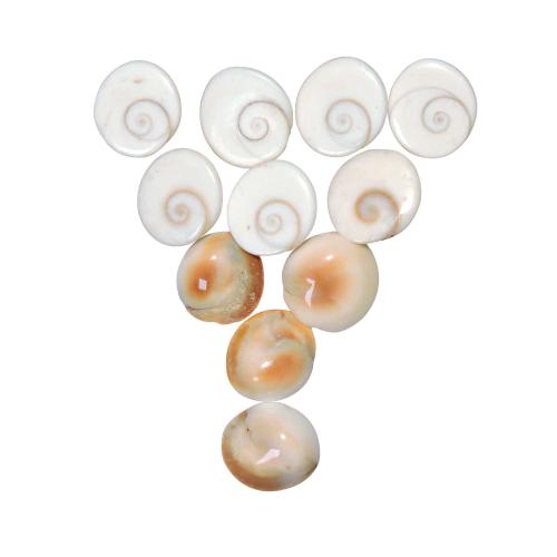 Avika Natural Gomti Chakra Cabochon (Pack of 11 Pcs.)