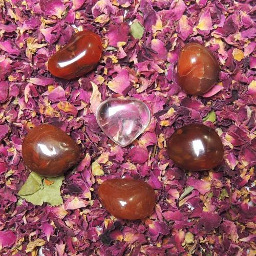 Avika Special Chocolate/Rose Petals Valentine Gift Realisation of Love
