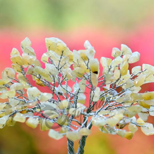 Avika Natural Energized Yellow Calcite Crystal Tree (200 dana)
