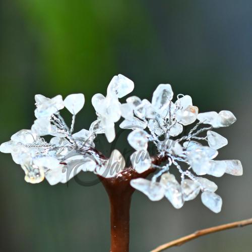 Avika Natural Energized Clear Quartz Mseal 60 Dana Tree