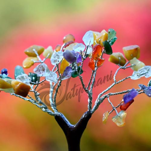 Avika Natural Energized Multi Stone Mseal 60 Dana Tree