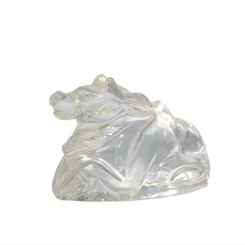 Avika Nandi in Clear Glass Quartz for Shiv Pooja