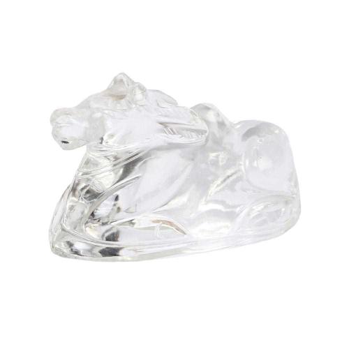 Avika Nandi in Clear Quartz For Shiv Pooja