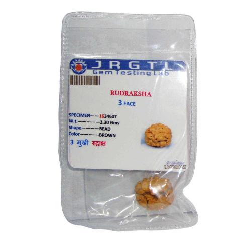 Avika Natural Certified Energized Rudraksha 3 Mukhi
