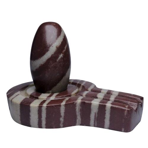 Avika Natural Narmedeshwar 4 Inch Flat  Jaldhari with 2 Inch Lingam