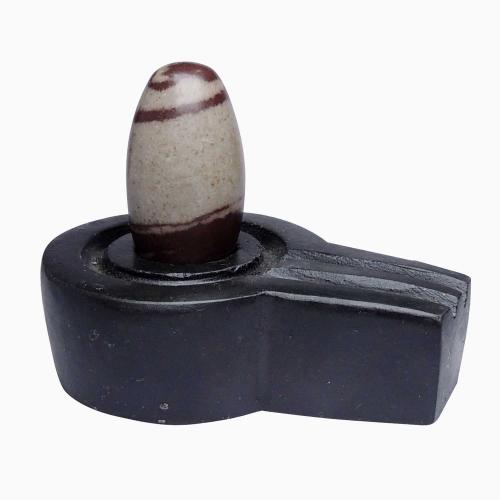 Avika Natural Narmedeshwar 4 Inch Thick Angora Jaldhari with 2 Inch Lingam