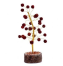 A Complete Guide To know about Rudraksha