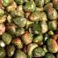 Satyamani Natural Epidote Unakite Tumble